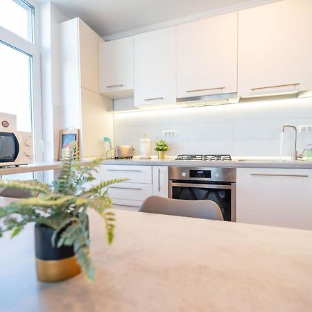 טימישוארה Modern Apollus Avenue - By Openhouse Apartments מראה חיצוני תמונה